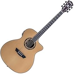 Washburn ag70cek apprentice for sale  Delivered anywhere in UK