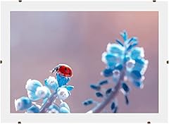 Online galleryking cornice usato  Spedito ovunque in Italia 
