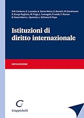 Istituzioni diritto internazio usato  Spedito ovunque in Italia 