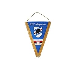 Generico gagliardetto 20x28cm usato  Spedito ovunque in Italia 