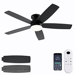 Nkpu black ceiling for sale  Delivered anywhere in USA 