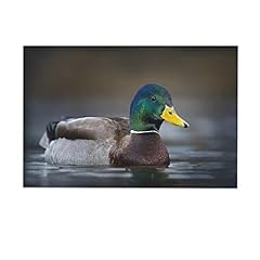 Pretty mallard duck for sale  Delivered anywhere in USA 