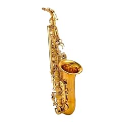 Saxophone professionnel altsax gebraucht kaufen  Wird an jeden Ort in Deutschland