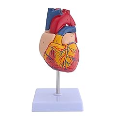 Lvchen human heart for sale  Delivered anywhere in UK