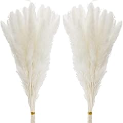 Pcs white pampas for sale  Delivered anywhere in USA 