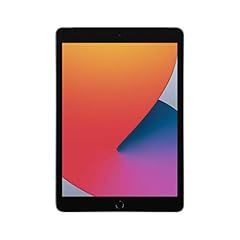 Apple ipad space for sale  Delivered anywhere in USA 