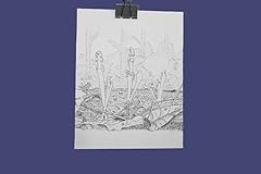 Botanical art goblin for sale  Delivered anywhere in USA 