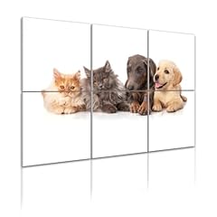 Pack art acoustic for sale  Delivered anywhere in USA 