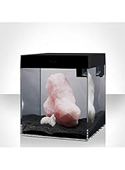 Askoll aa350002 acquario usato  Spedito ovunque in Italia 