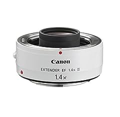 Canon extender 1.4x usato  Spedito ovunque in Italia 