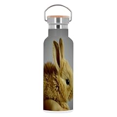 Bouteille inox gourde d'occasion  Livré partout en France