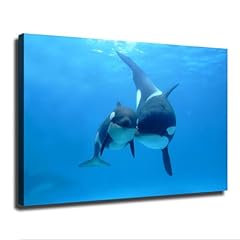 Orca killer whale for sale  Delivered anywhere in USA 
