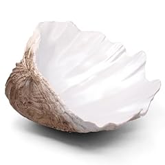 Extra large clam for sale  Delivered anywhere in USA 