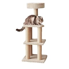 Amazon basics cat for sale  Delivered anywhere in USA 
