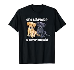Labrador pet dog for sale  Delivered anywhere in USA 
