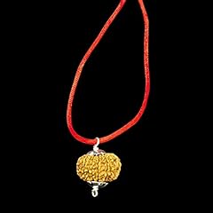 Mukhi rudraksha pendant for sale  Delivered anywhere in USA 