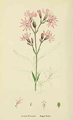 Print sowerby james for sale  Delivered anywhere in UK