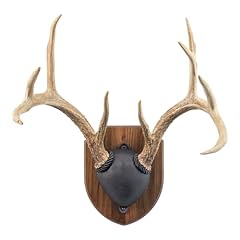 Antler display mounting for sale  Delivered anywhere in USA 