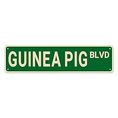 Guinea pig blvd for sale  Delivered anywhere in USA 