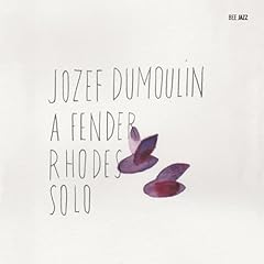 Fender rhodes solo usato  Spedito ovunque in Italia 