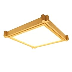 Usmcpqvxn lampada soffitto usato  Spedito ovunque in Italia 