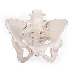 Scientific gmbh 1019864 for sale  Delivered anywhere in USA 