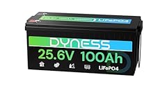 Dyness batteria litio usato  Spedito ovunque in Italia 