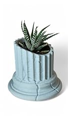 Greek pillar flower for sale  Delivered anywhere in USA 