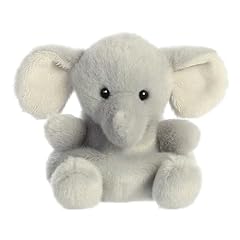 Aurora adorable palm for sale  Delivered anywhere in USA 