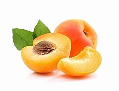 Blenheim apricot fruit for sale  Delivered anywhere in USA 