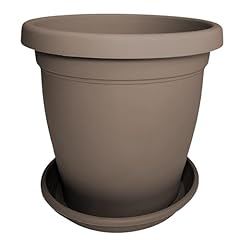 Sicignano vaso verona usato  Spedito ovunque in Italia 