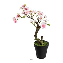 Artificielles.com bonsai prunu usato  Spedito ovunque in Italia 