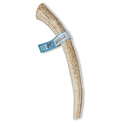 Prairie dog antlers for sale  Delivered anywhere in USA 