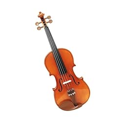 Violino professionale violino usato  Spedito ovunque in Italia 
