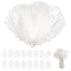 Pcs ostrich feathers for sale  Delivered anywhere in UK