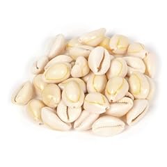 Justinstones natural cowrie for sale  Delivered anywhere in USA 