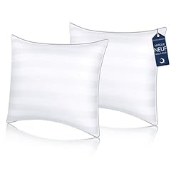 Cozsinoor oreiller 65x65 d'occasion  Livré partout en France