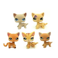 5pcs mini pet for sale  Delivered anywhere in USA 