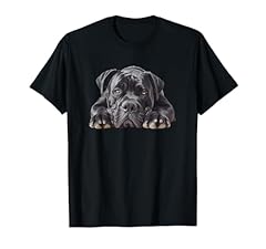 Lazy cane corso for sale  Delivered anywhere in UK