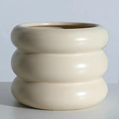 Sandybaytas ceramic plant for sale  Delivered anywhere in USA 