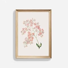 Antique epidendrum botanical for sale  Delivered anywhere in USA 