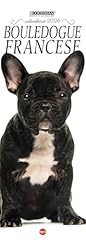 Bouledogue francese. calendari usato  Spedito ovunque in Italia 