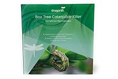 Dragonfli box tree for sale  Delivered anywhere in UK