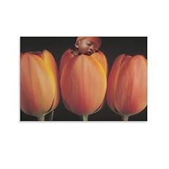 Photographer anne geddes for sale  Delivered anywhere in USA 
