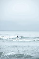 Lone surfer journal for sale  Delivered anywhere in USA 