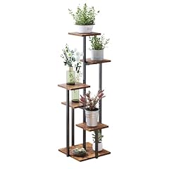 Vondream tier plant for sale  Delivered anywhere in USA 