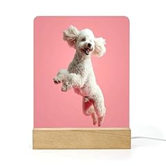 Lorolivier caniche chien d'occasion  Livré partout en France