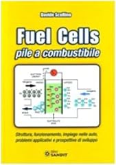 Fuel cells. pile usato  Spedito ovunque in Italia 