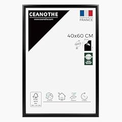 Ceanothe cadre photo d'occasion  Livré partout en France