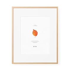 Tones frame design for sale  Delivered anywhere in USA 